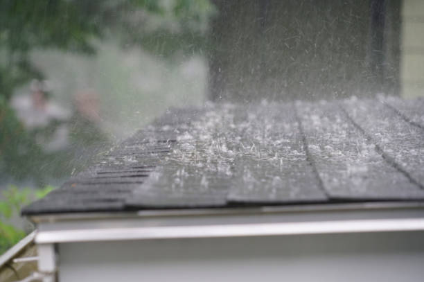Best Commercial Roofing Services  in Hainesvle, IL