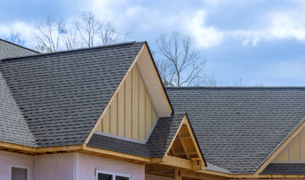 Best Gutter Installation and Repair  in Hainesvle, IL